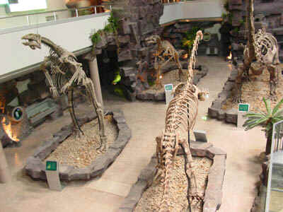 Lesser Hinggan Mountain Dinosaur Museum